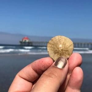 Meet your Posher, Wendy